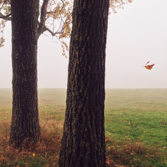 tumblr_mvi4fkh2gg1qz6f9yo1_1280