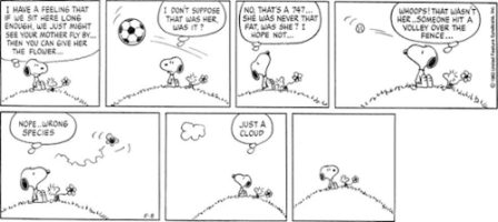 tumblr_mwki3wGptR1qisuj3o1_500