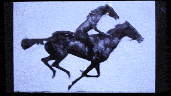 tumblr_n5kolhpWdI1qz6f9yo1_1280